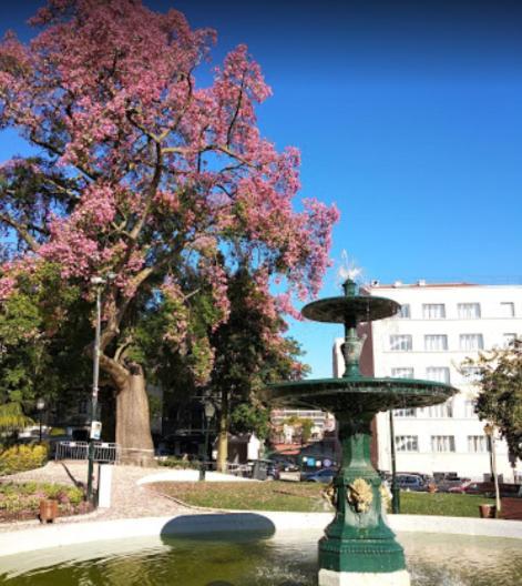Alegramente Daire Lisboa Dış mekan fotoğraf