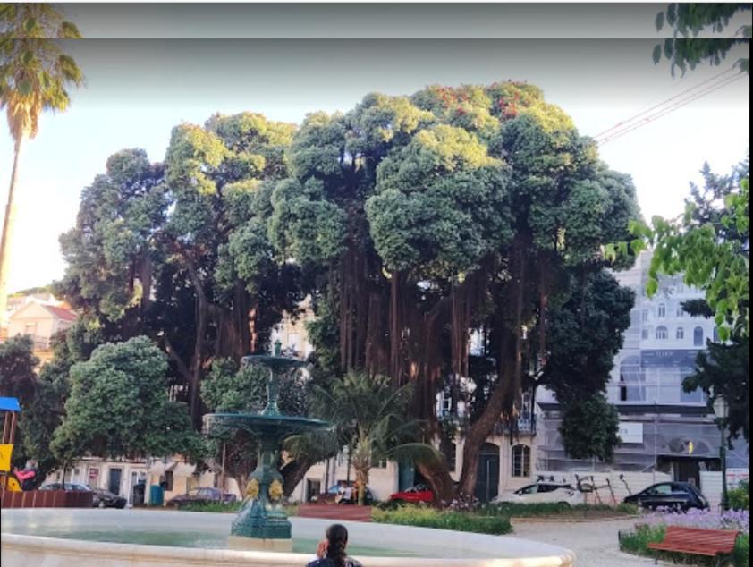 Alegramente Daire Lisboa Dış mekan fotoğraf